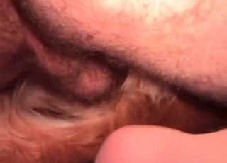 Filthy male zoofil and his horny retriever