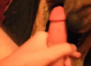 Sweet dog licks and sucks a dick