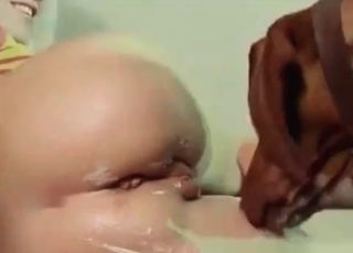 Barking hound fucked her tight wet crack