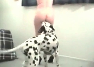 Amazing dog gets sucked by my slutty wife