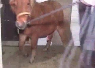 Animal cums a huge load in her tight hole
