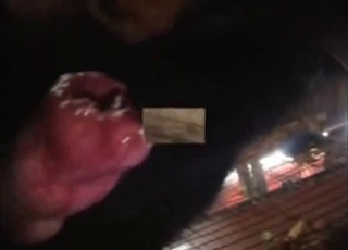 Black animal knows how to pound her hole