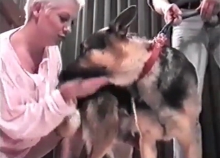 Sexy trained shepherd in amazing bestiality